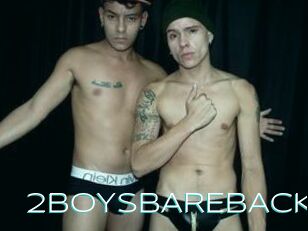 2BOYSBAREBACK