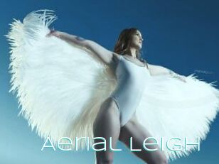 Aerial_Leigh