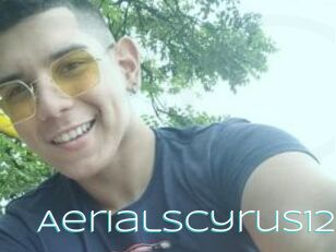 Aerialscyrus12