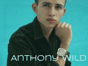 Anthony_wild