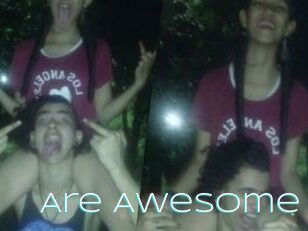 Are_Awesome