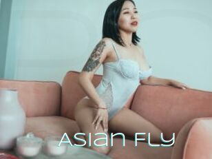 Asian_Fly