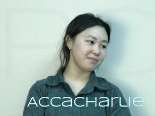 Accacharlie