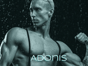 Adonis_