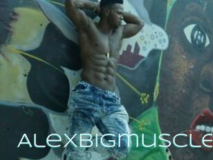 Alexbigmuscle