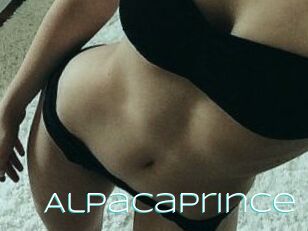 AlpacaPrince