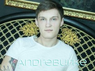 Andreburke