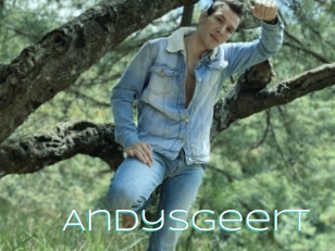 Andysgeert