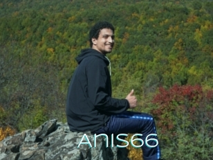 Anis66