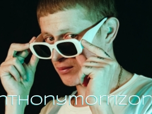 Anthonymorrizon