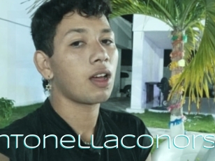 Antonellaconors