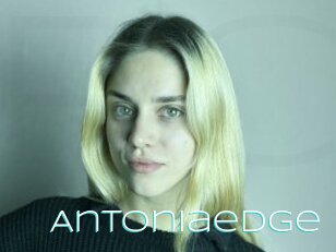 Antoniaedge