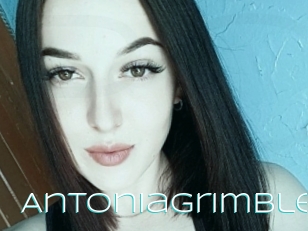 Antoniagrimble