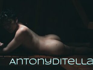 Antonyditella