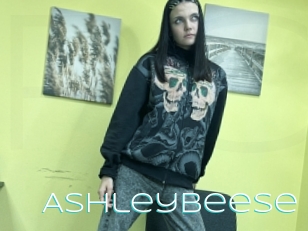 Ashleybeese