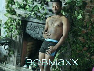 BobMaxx