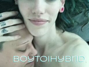 BoytoiHybrid