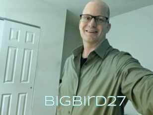 Bigbird27