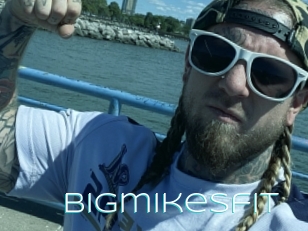 Bigmikesfit