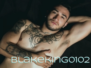 Blakeking0102