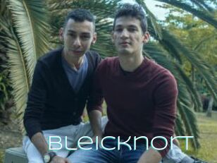 Bleicknort