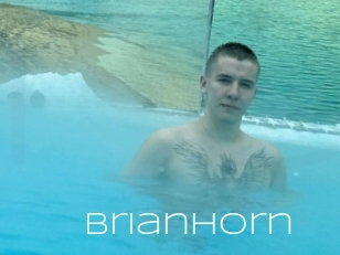 Brianhorn