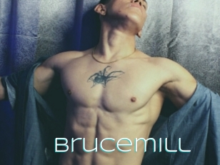 Brucemill