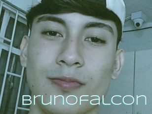 Brunofalcon