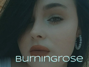 Burningrose