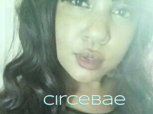 Circebae