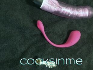 Cocksinme