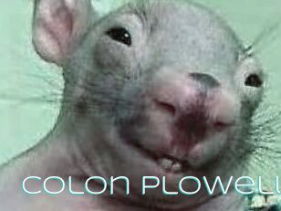 Colon_Plowell