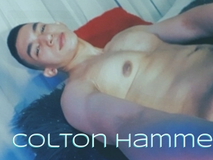 Colton_Hammer