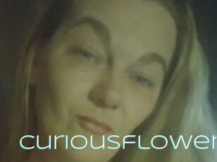 Curiousflower