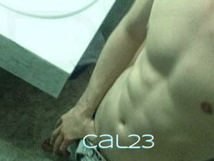 Cal23