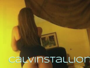 Calvinstallion