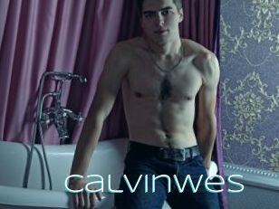 Calvinwes