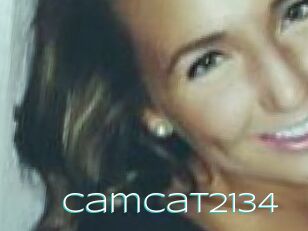 Camcat2134