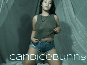 Candicebunny