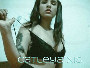 Catleya_x18