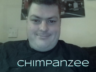 Chimpanzee