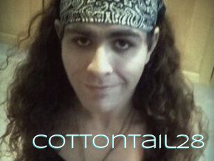 Cottontail28