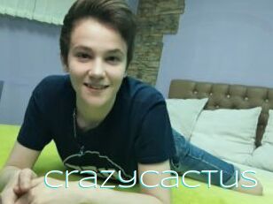 Crazycactus