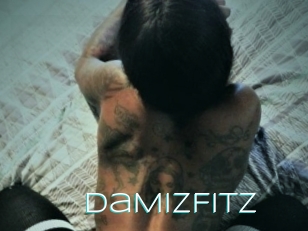 DaMizFitz