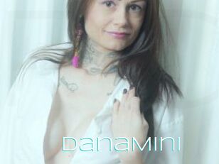 DanaMini