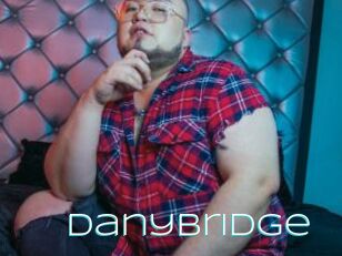 DanyBridge