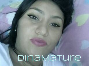 DinaMature