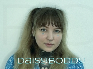 Daisyboddy