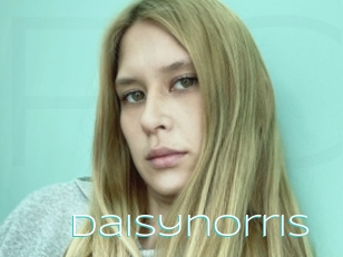 Daisynorris