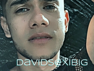 Davidsexibig